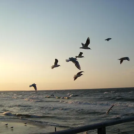 Hudewald & Отель 3*