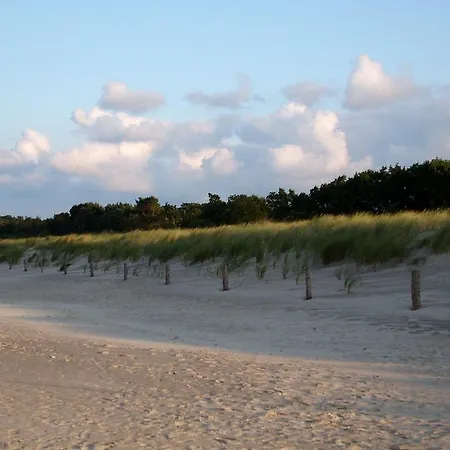 Hudewald & Иккериц